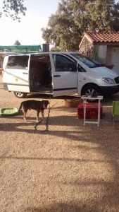 7-9-2016-camping-caceres