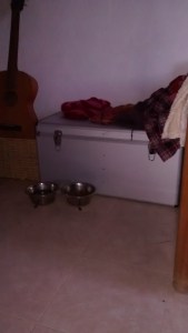 img_20161108_180555727