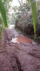 img_20161110_094434881