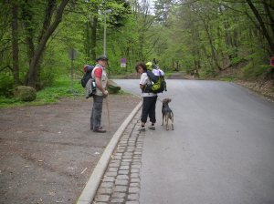 lucys-bilderlein-089