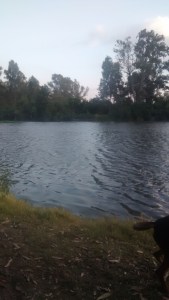 IMG_20170602_210211411