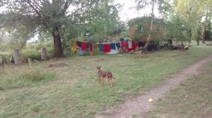 IMG_20170918_180914753