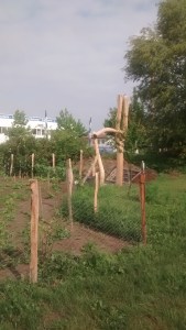 IMG_20180519_085712785