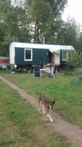 IMG_20180525_181343774