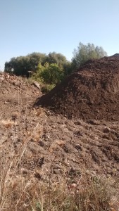 IMG_20180927_130357520[1]