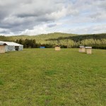 IMG_20190926_145713_234